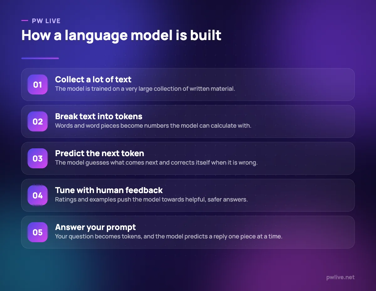 Five step diagram showing text collection, tokenising, prediction training, feedback tuning and serving answers.